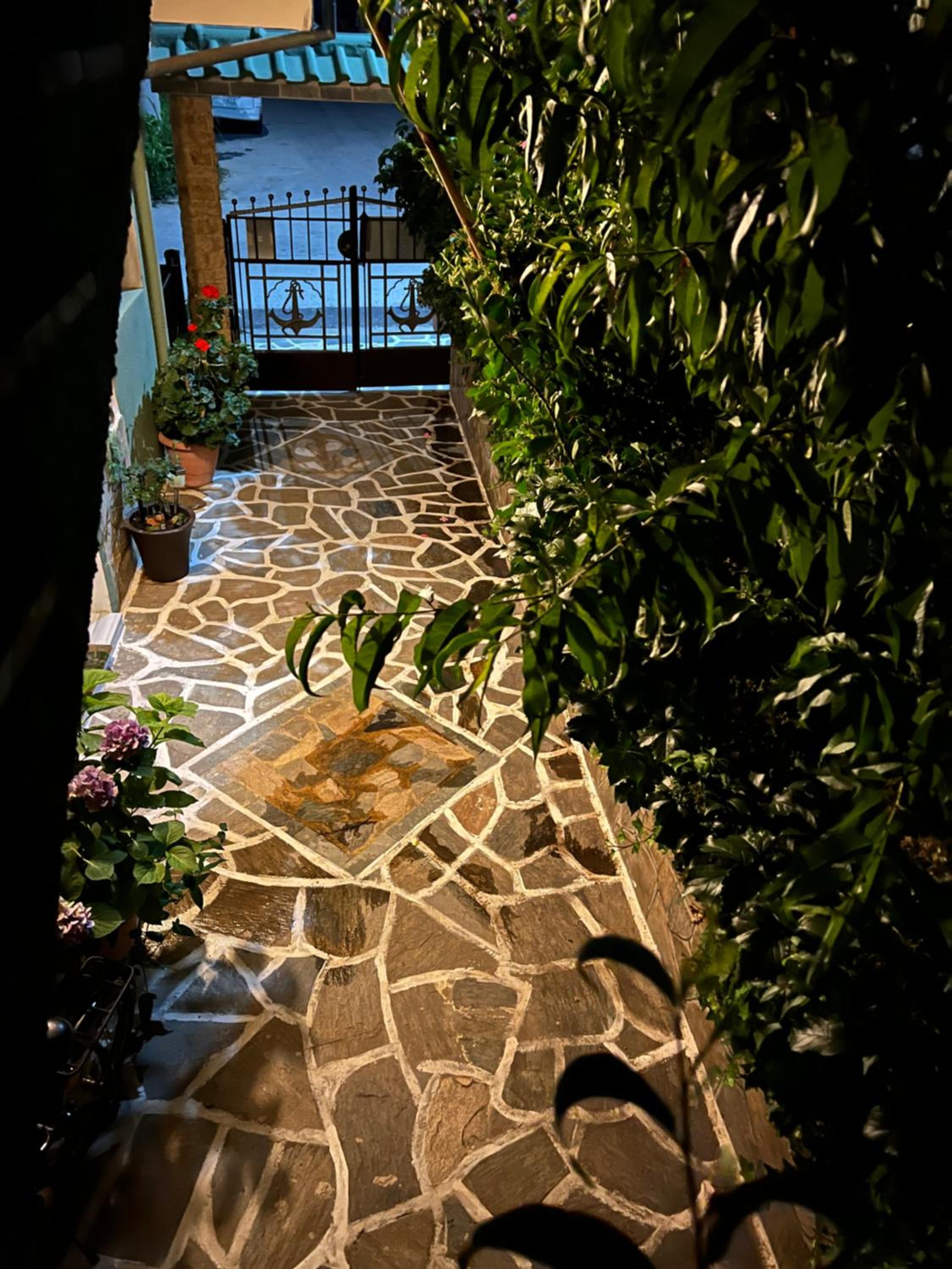 Photo 25