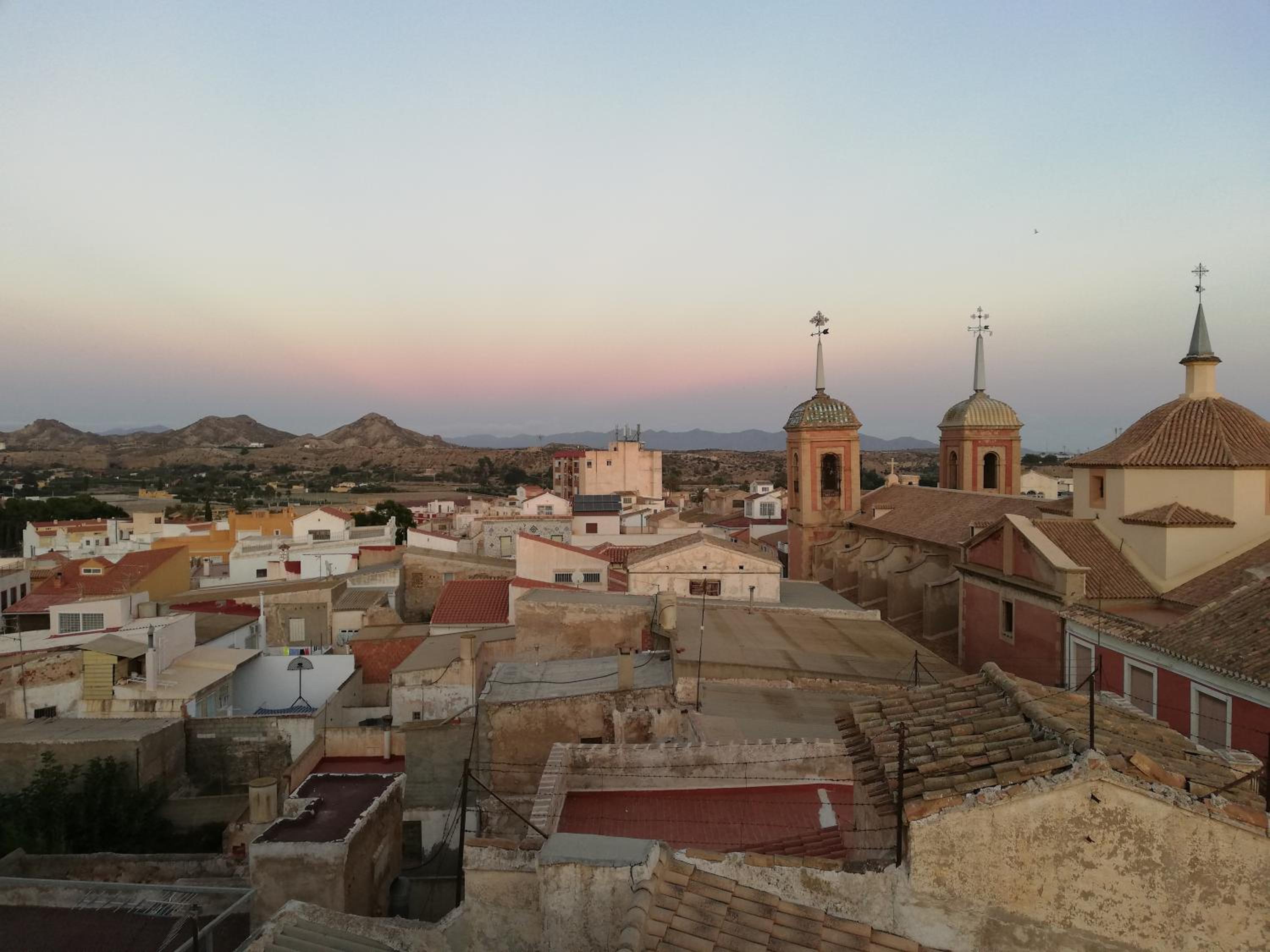 Vegan garden Apartment photo 2