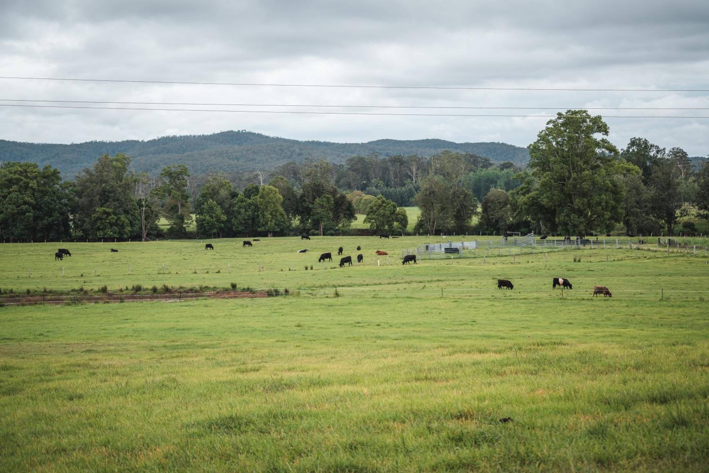 Eden Brae Farm