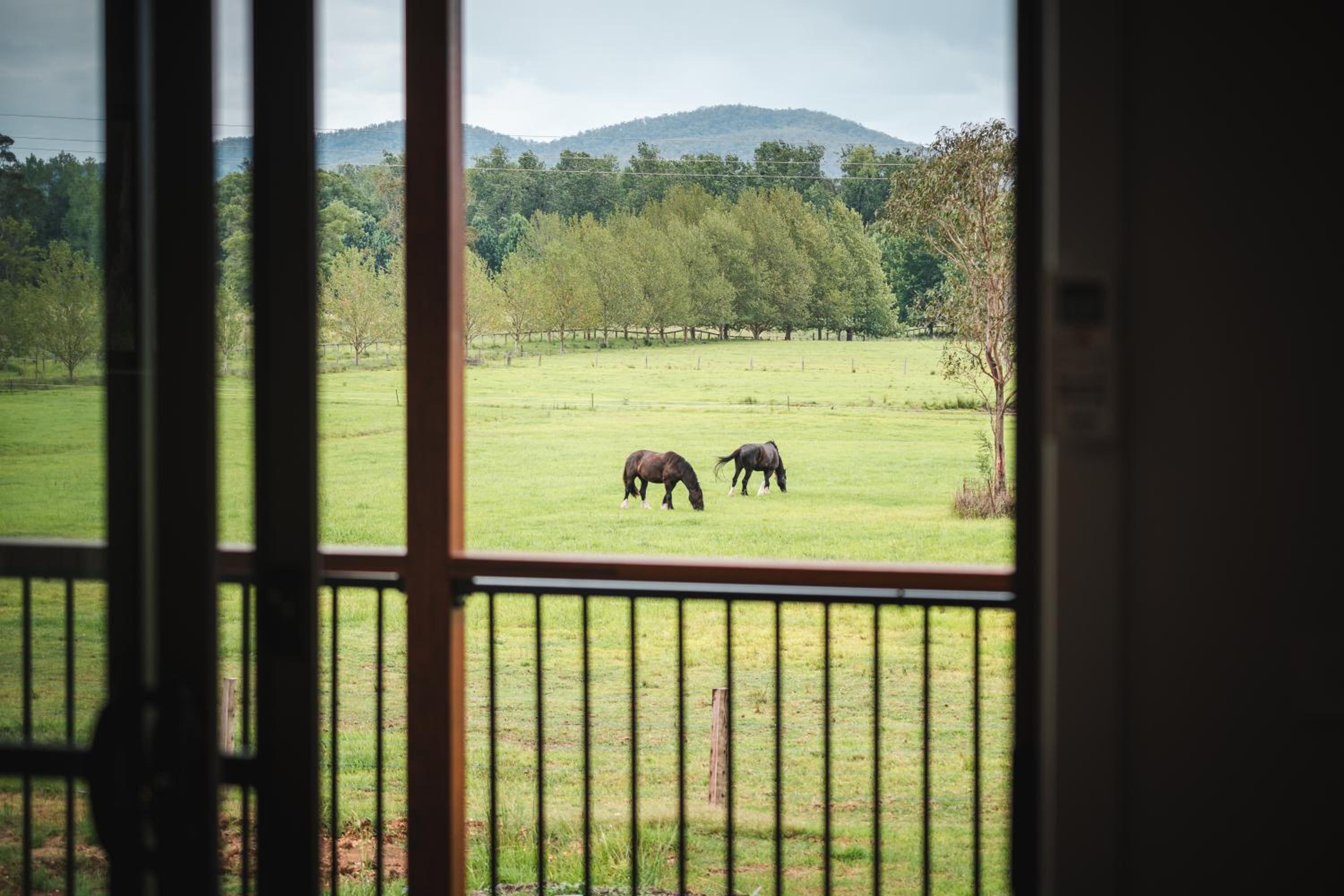 Eden Brae Farm