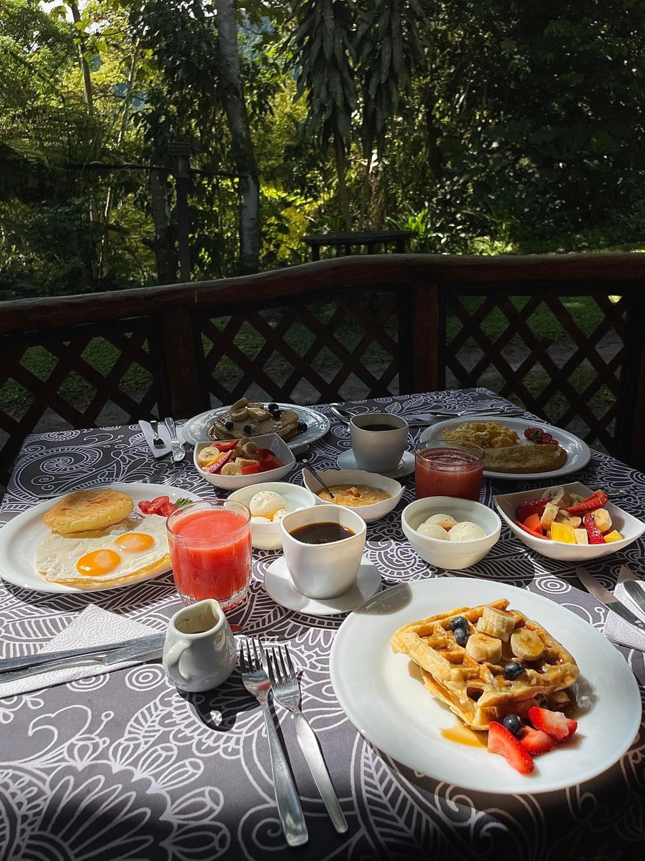 Sacha Urco Lodge -Private Cloud Forest Reserve in Mindo- 4x4 recommended March-April