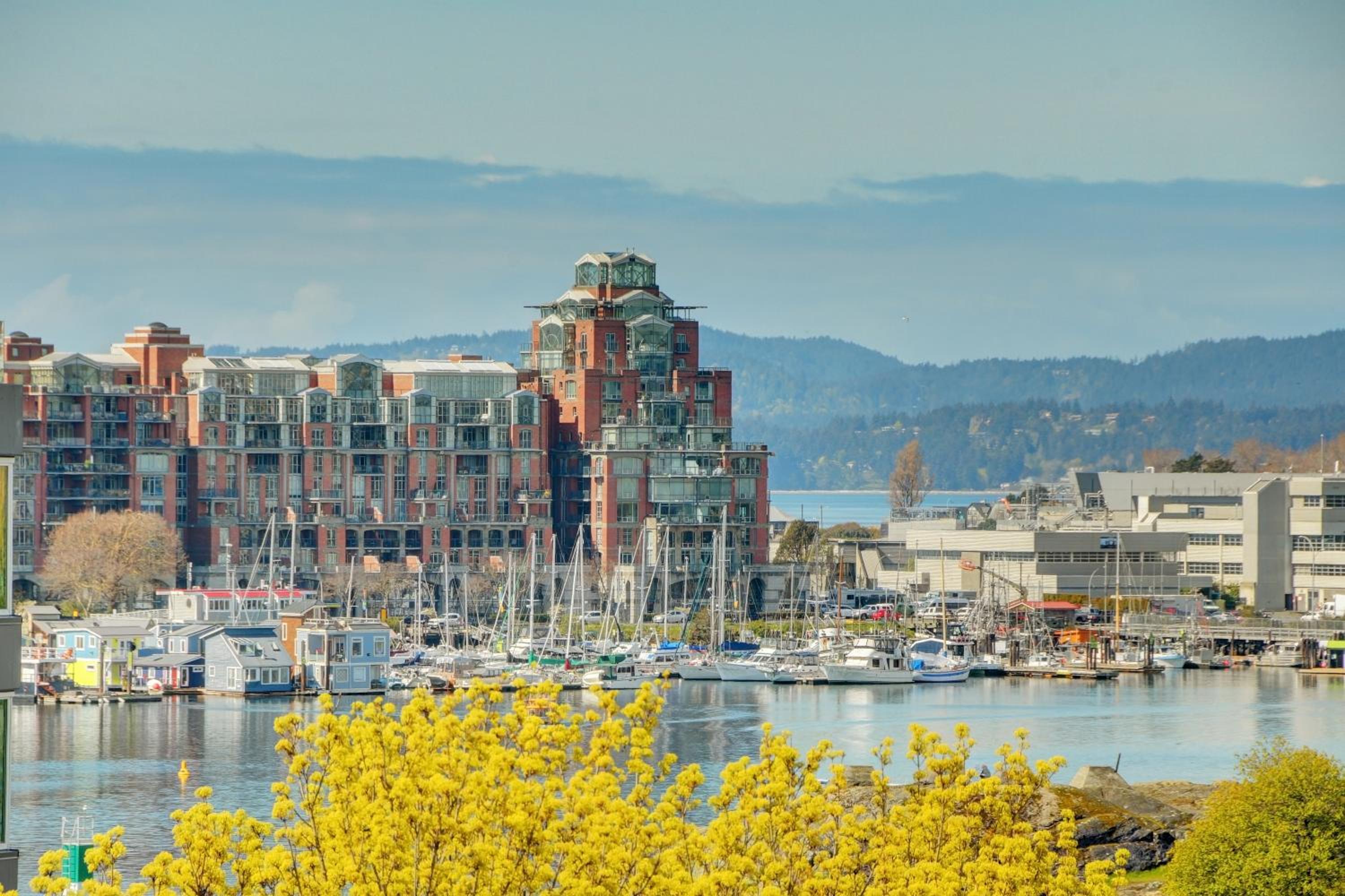 West Coast Loft with Rooftop Patio + Harbour View