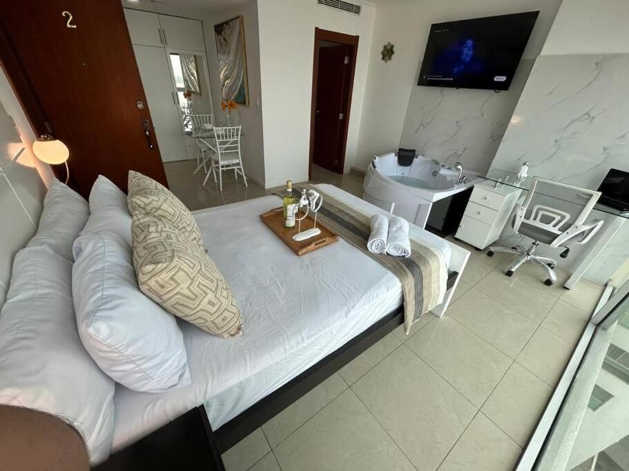 Ecusuites Ejecutiva Mini view río guayas Aeropuerto