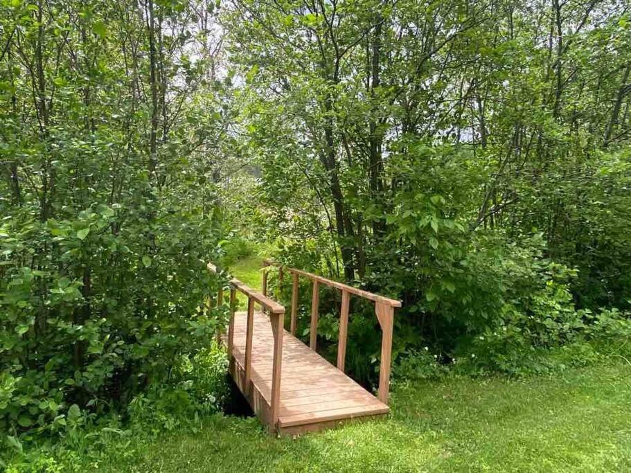 Lake side escape (log home)