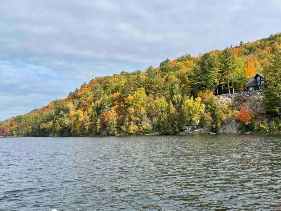 Lake side escape (log home)