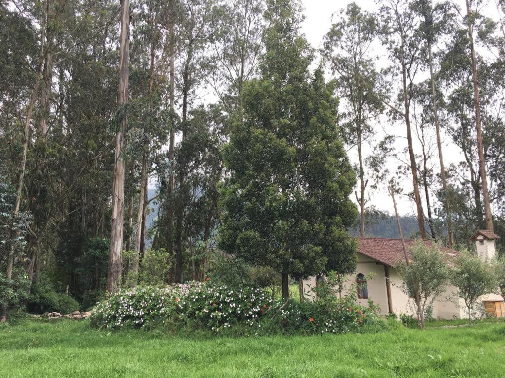 Cabaña Rumiwasi Imbabura