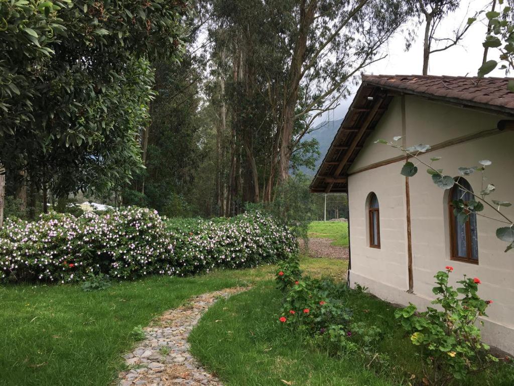 Cabaña Rumiwasi Imbabura