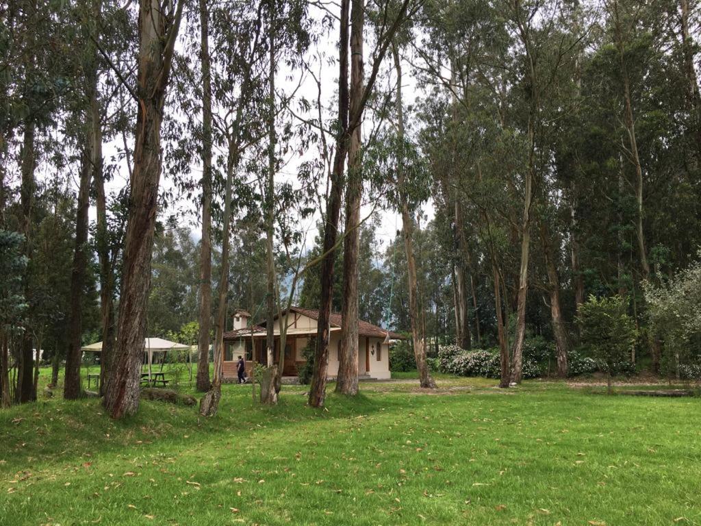 Cabaña Rumiwasi Imbabura
