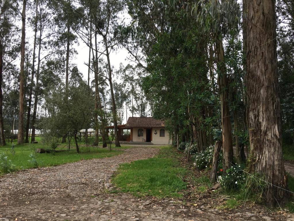 Cabaña Rumiwasi Imbabura