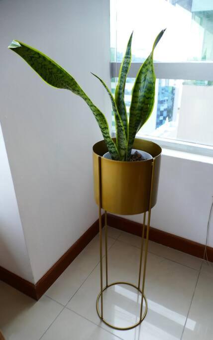 Ecusuites Penthouse Torre Sol Aeropuerto Mall Del Sol