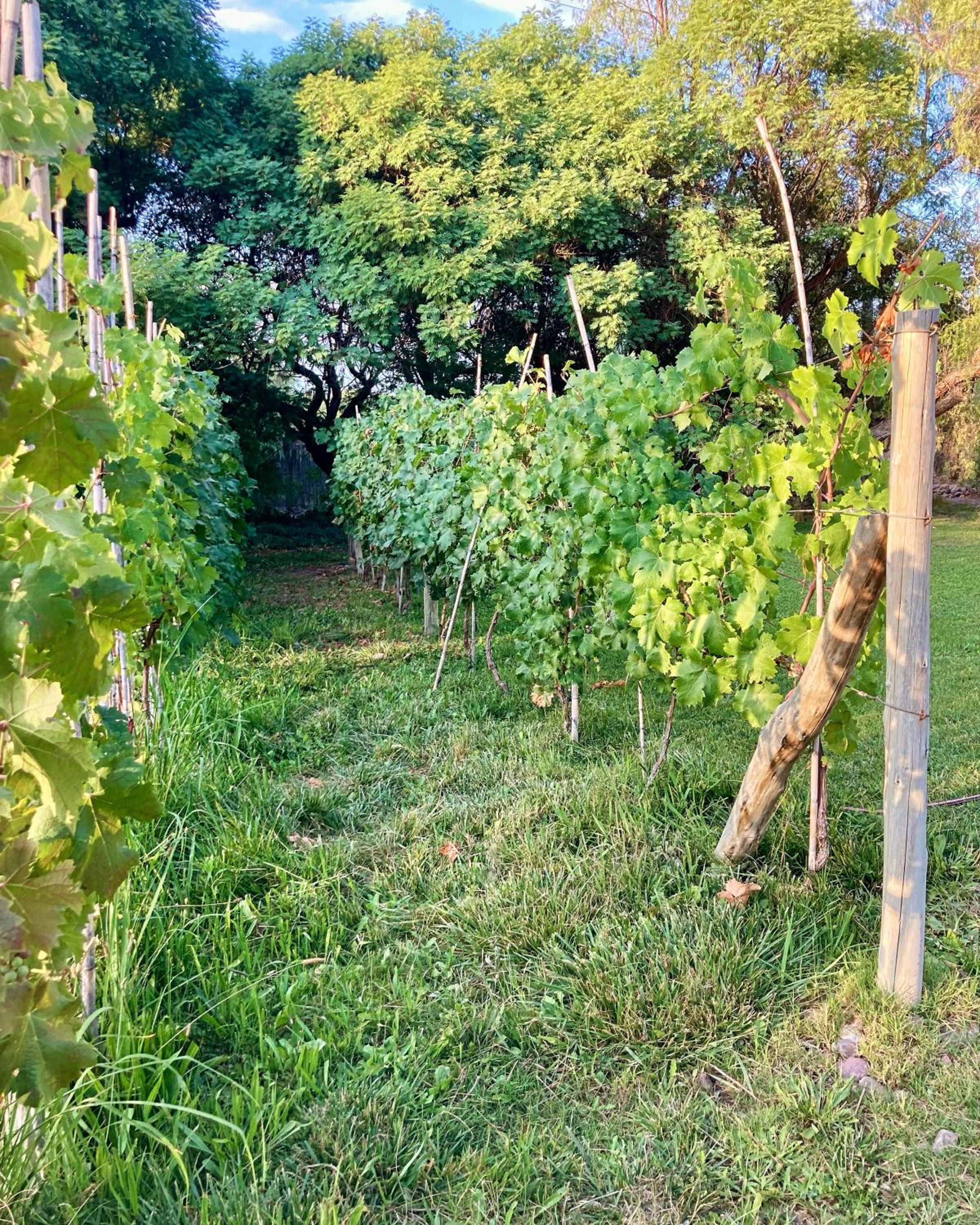 Las Pircas, casa de campo