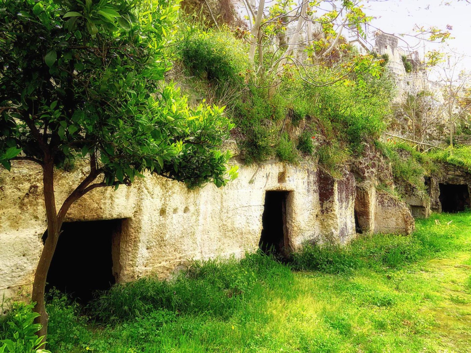 La Valle delle Rose