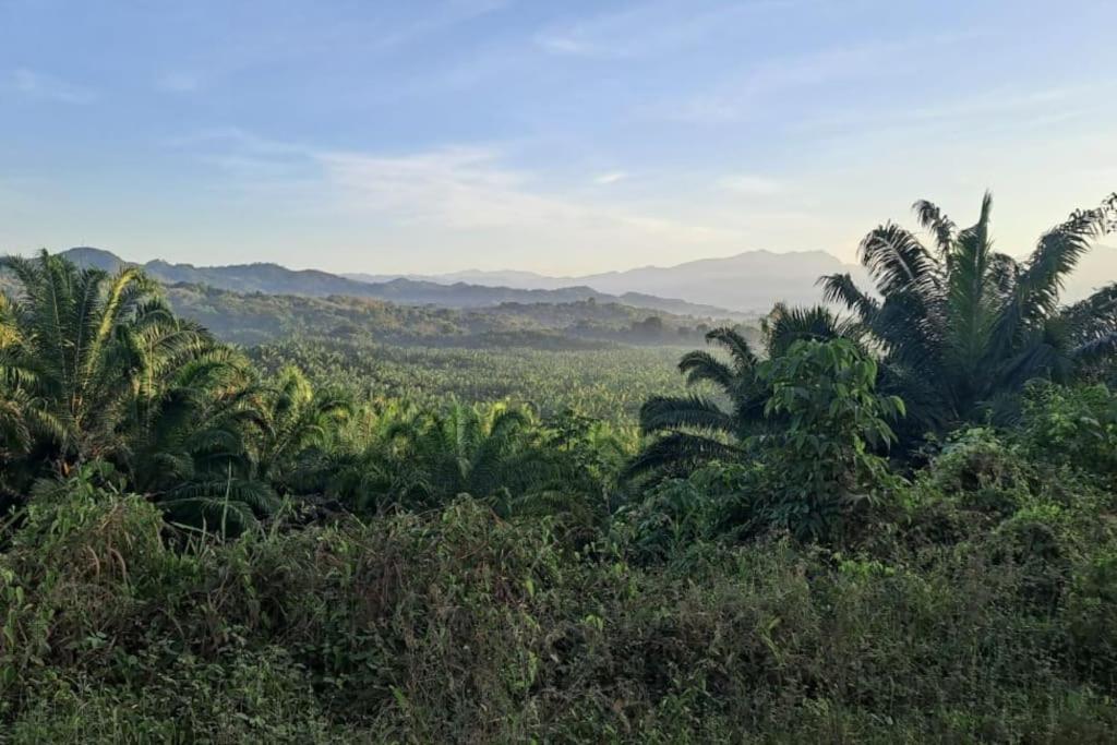 Casa Cariad Close to surfing lessons and more!