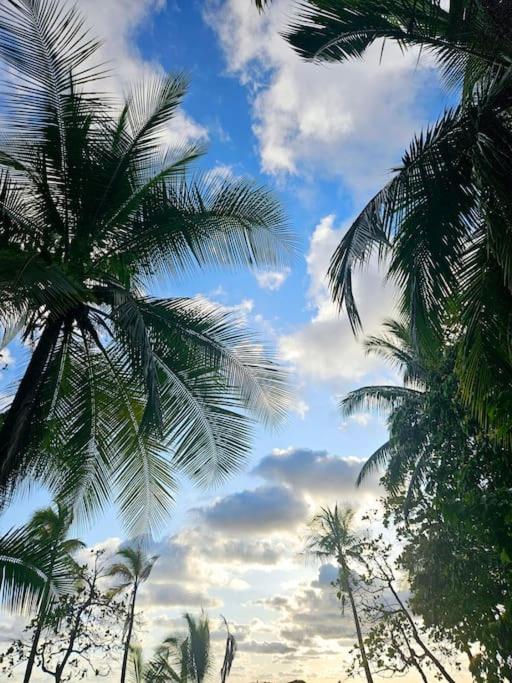 Casa Cariad Close to surfing lessons and more!