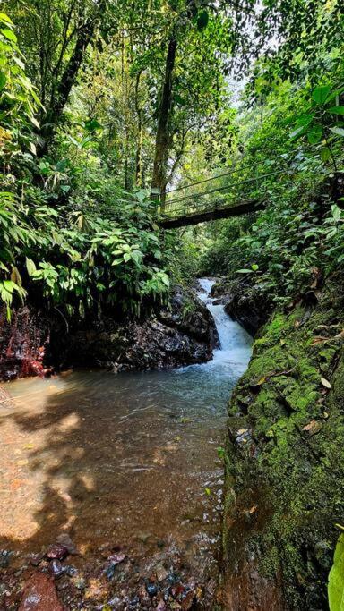 Casa Cariad Close to surfing lessons and more!