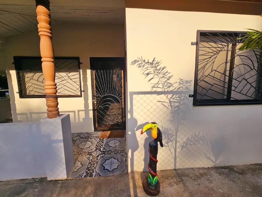 Casa Cariad Close to surfing lessons and more!