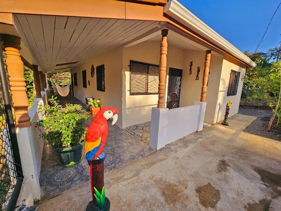 Casa Cariad Close to surfing lessons and more!