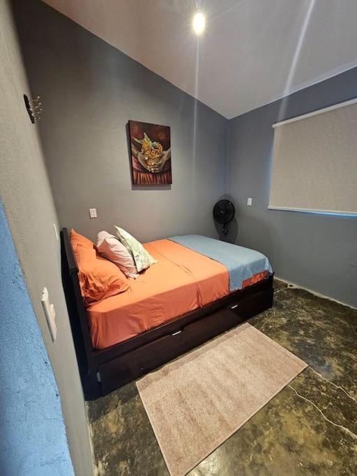 Casa Cariad Close to surfing lessons and more!
