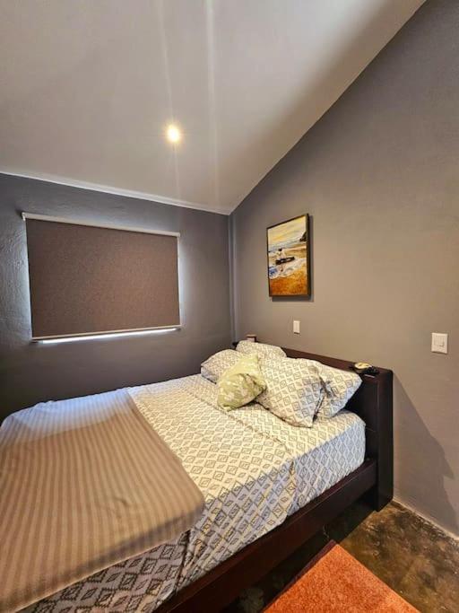 Casa Cariad Close to surfing lessons and more!