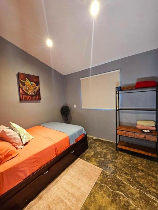Casa Cariad Close to surfing lessons and more!