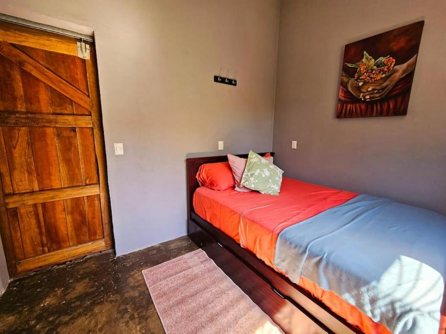 Casa Cariad Close to surfing lessons and more!
