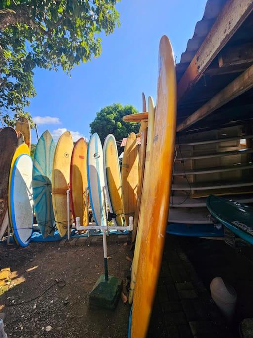 Casa Cariad Close to surfing lessons and more!