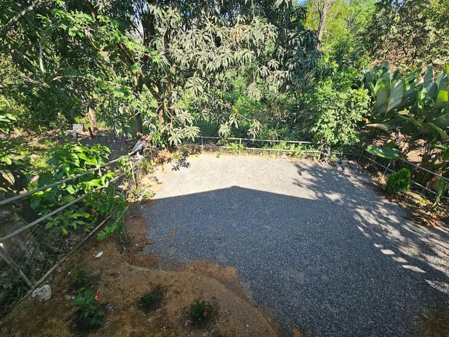 Casa Cariad Close to surfing lessons and more!