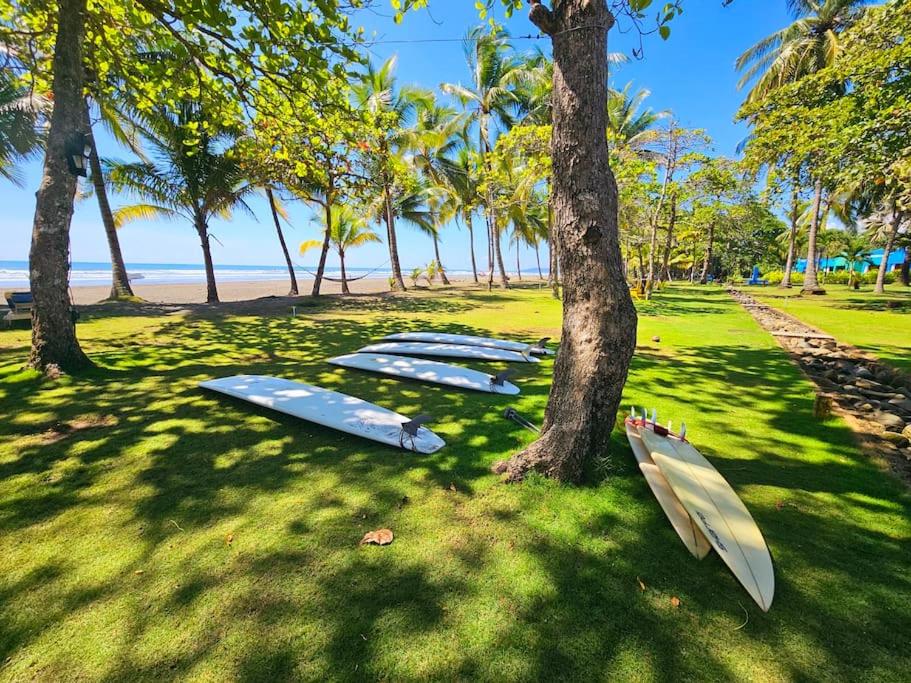 Casa Cariad Close to surfing lessons and more!