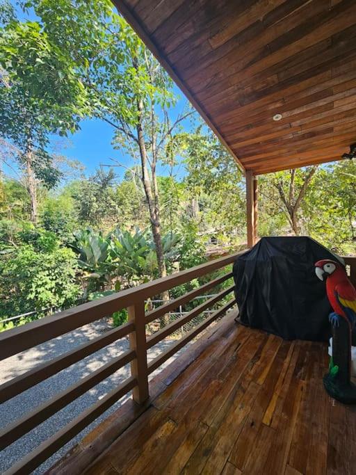 Casa Cariad Close to surfing lessons and more!