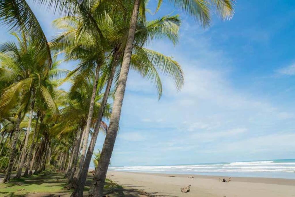 Casa Cariad Close to surfing lessons and more!