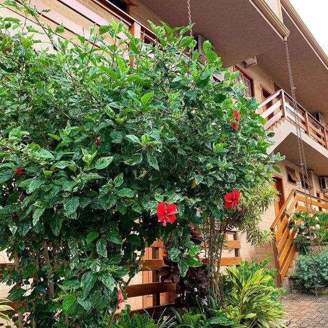 Hotel Pousada Santa Rita