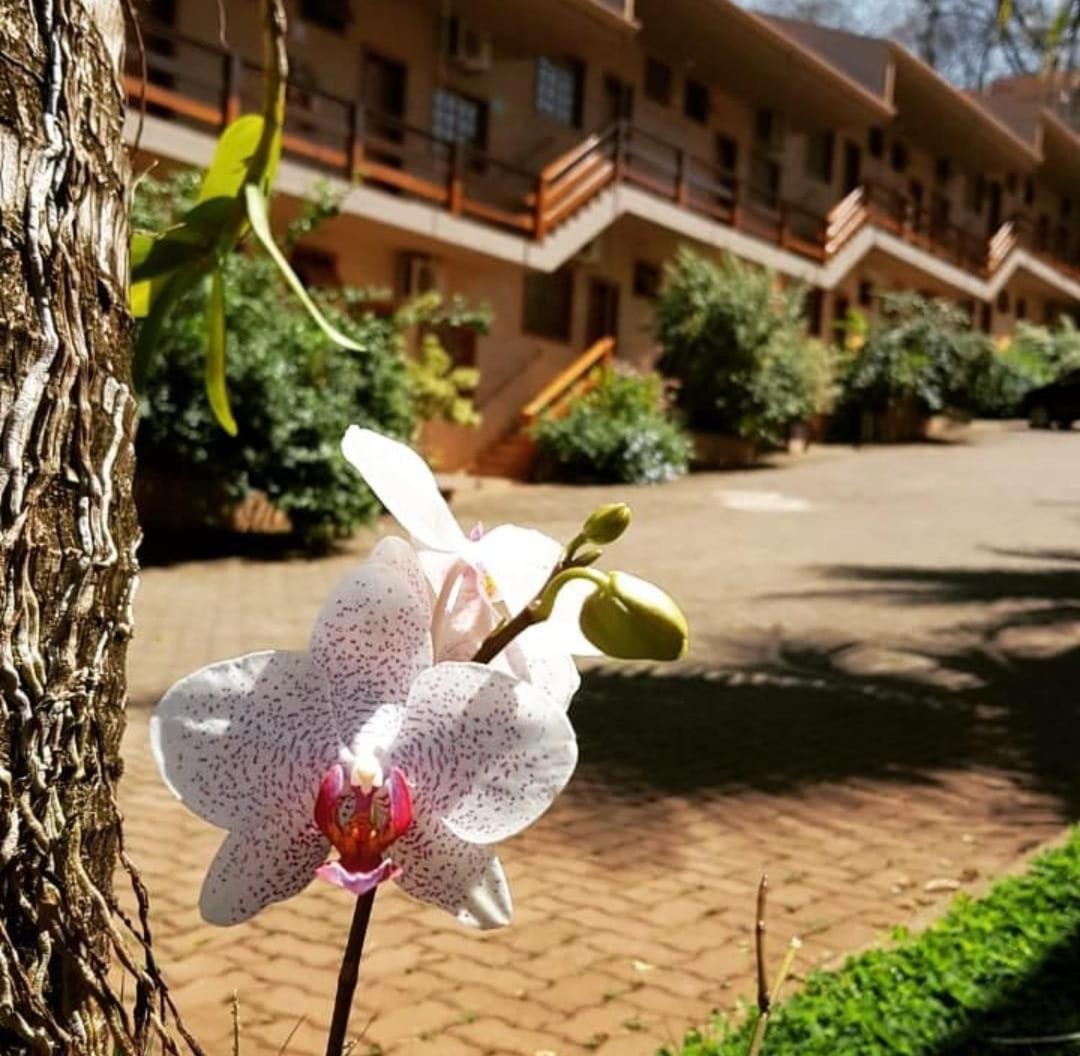 Hotel Pousada Santa Rita