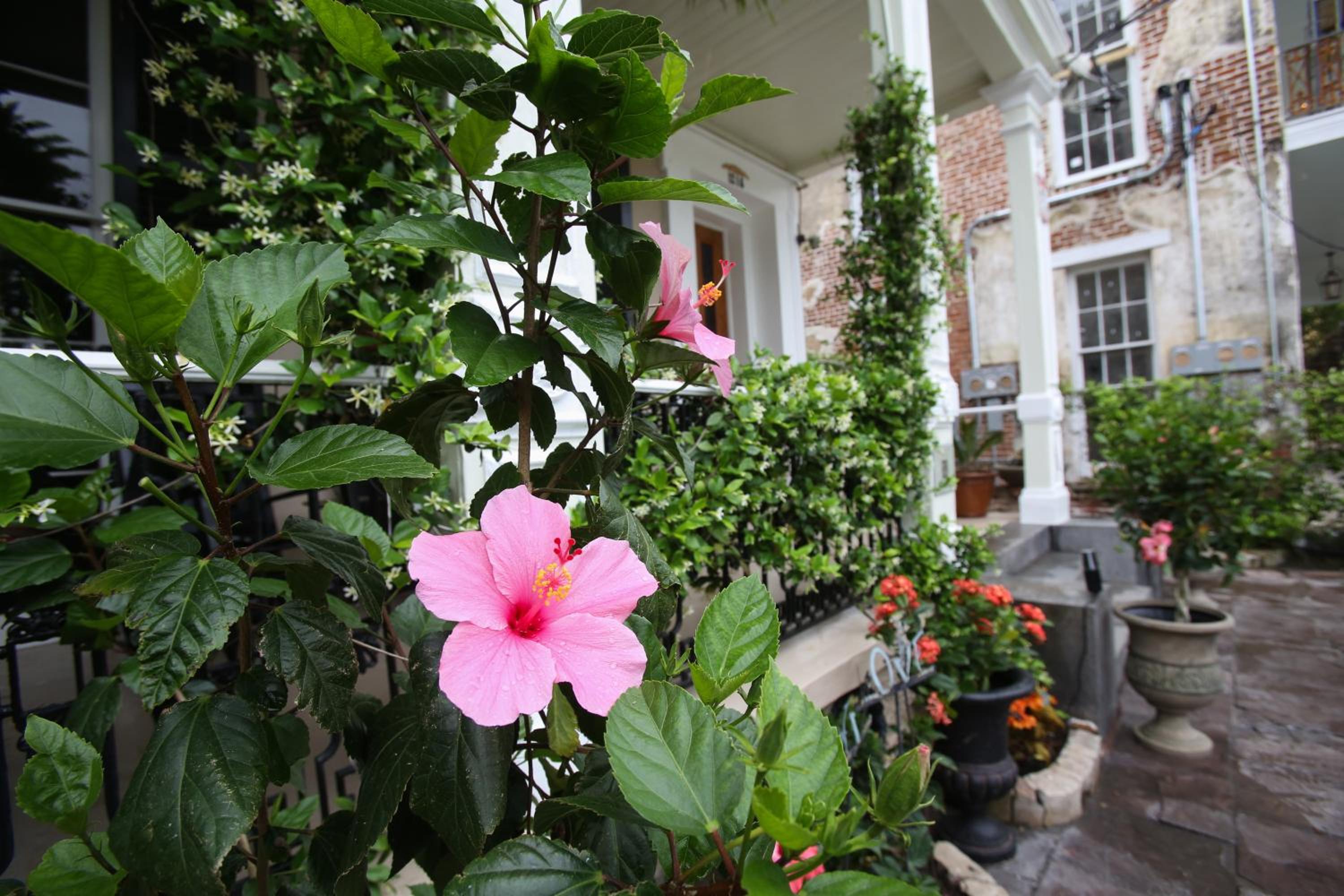 Fleur De Lis Mansion