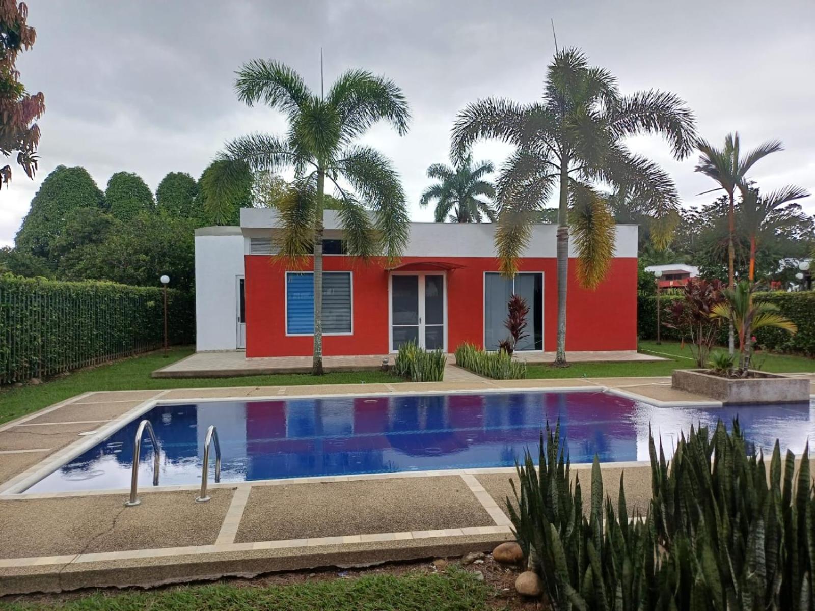 Las Margaritas