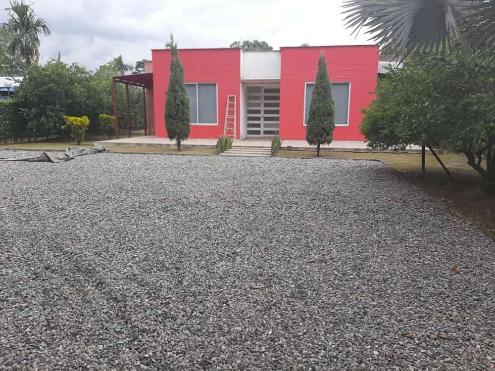 Las Margaritas