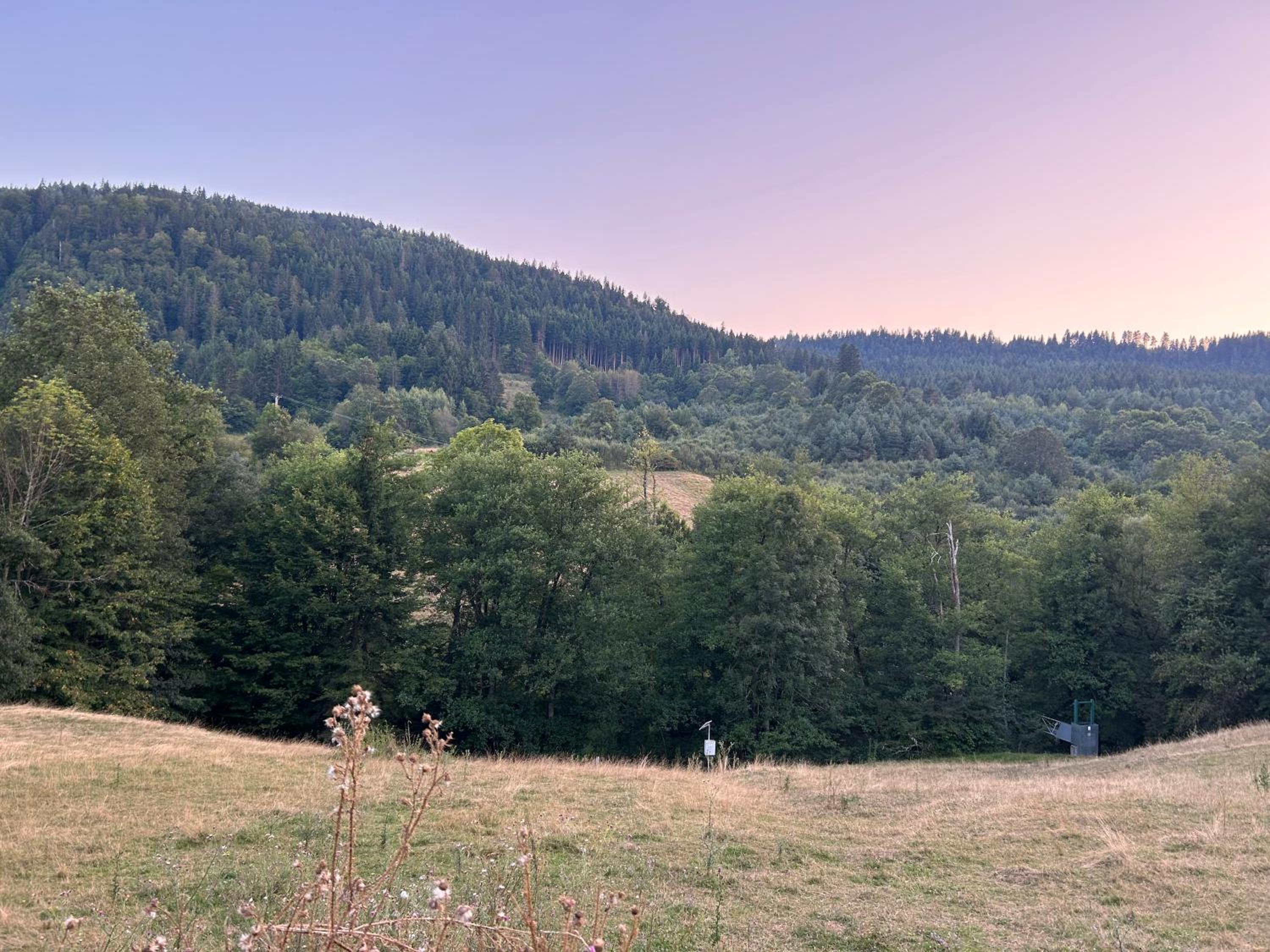 Villa Mona Zeleni Vir