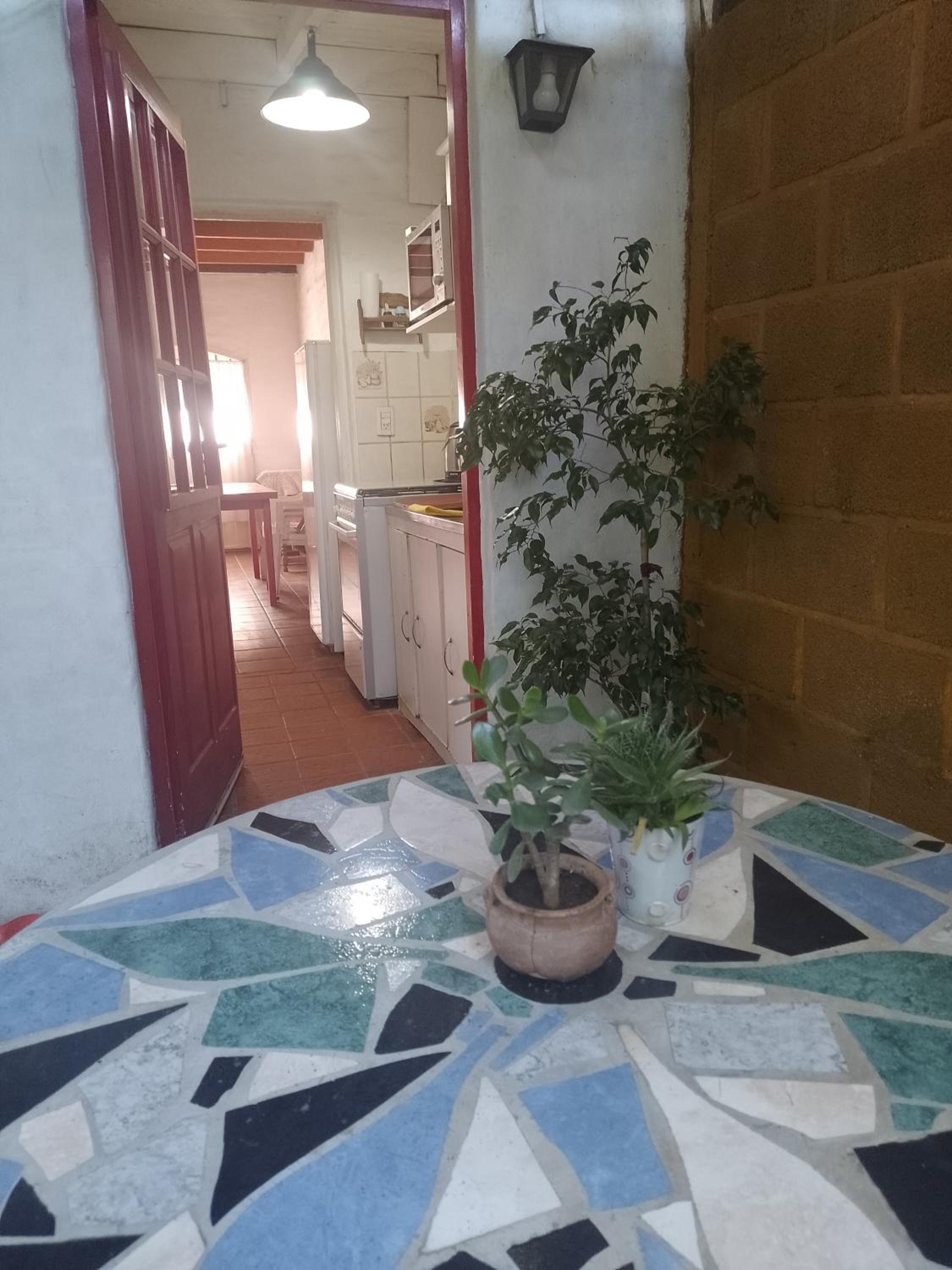 Alojamiento x dia Cactus Serrano