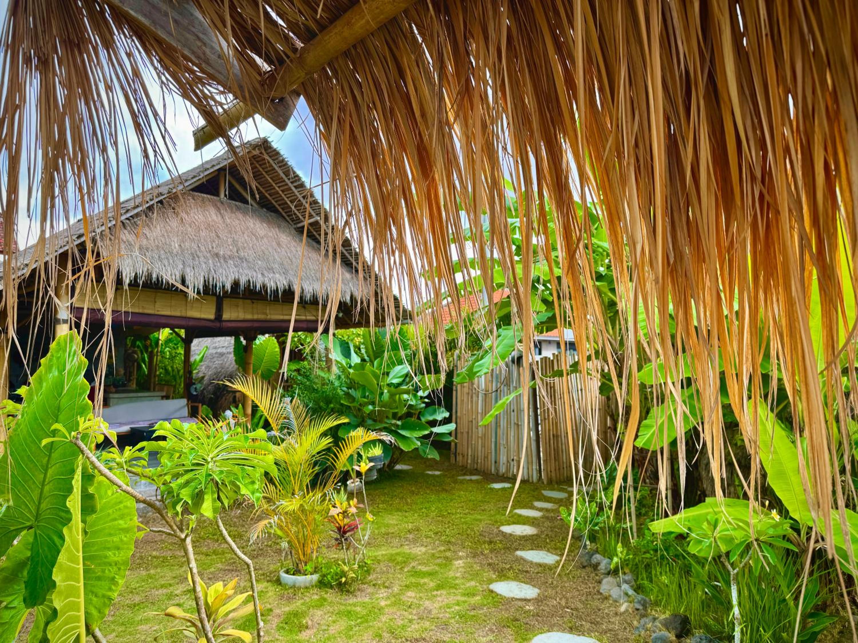 Eco Bamboo Jungle
