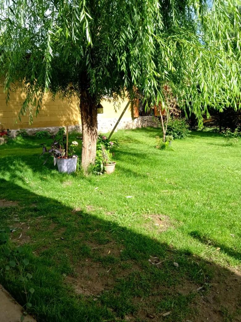 Cabañas Ali