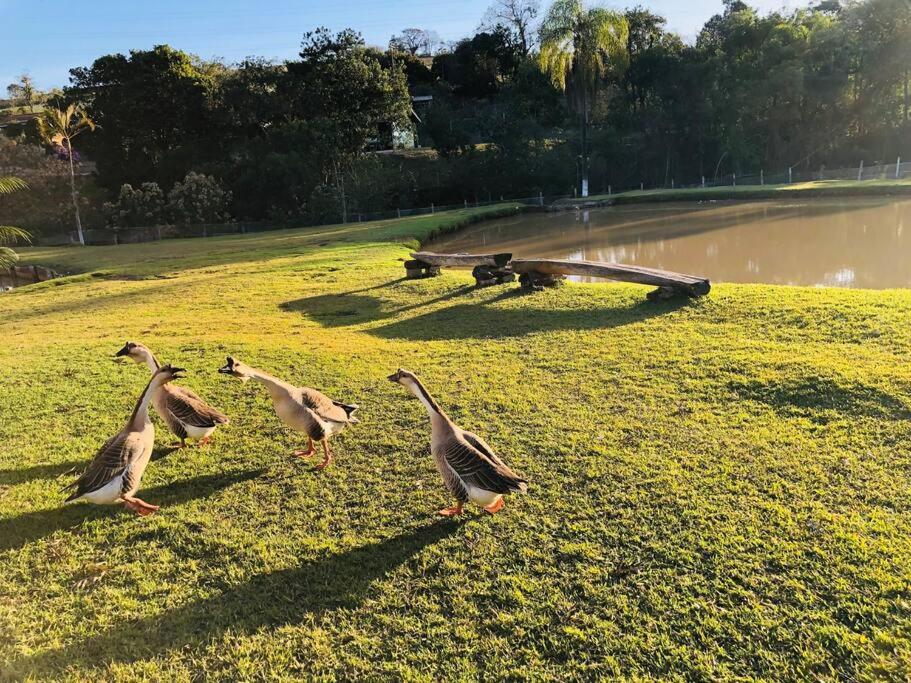 Sítio Encantador na Cidade de Jarinu