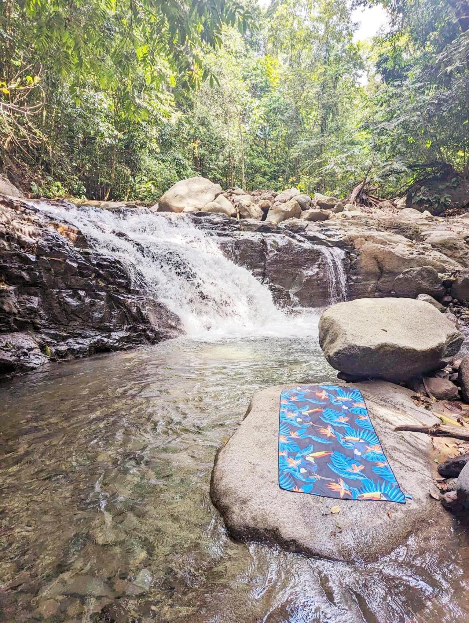 Yogachal Vista Mar Bamboo House in the Jungle