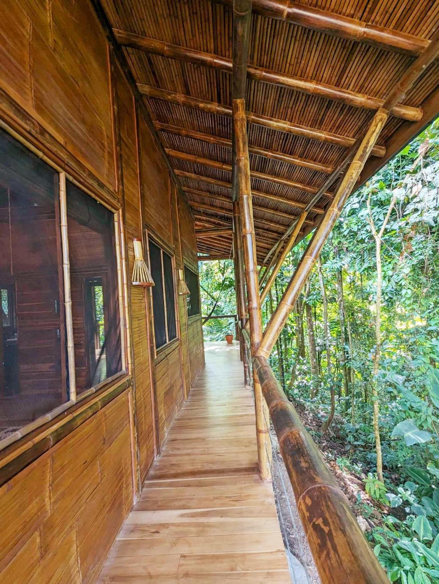 Yogachal Vista Mar Bamboo House in the Jungle