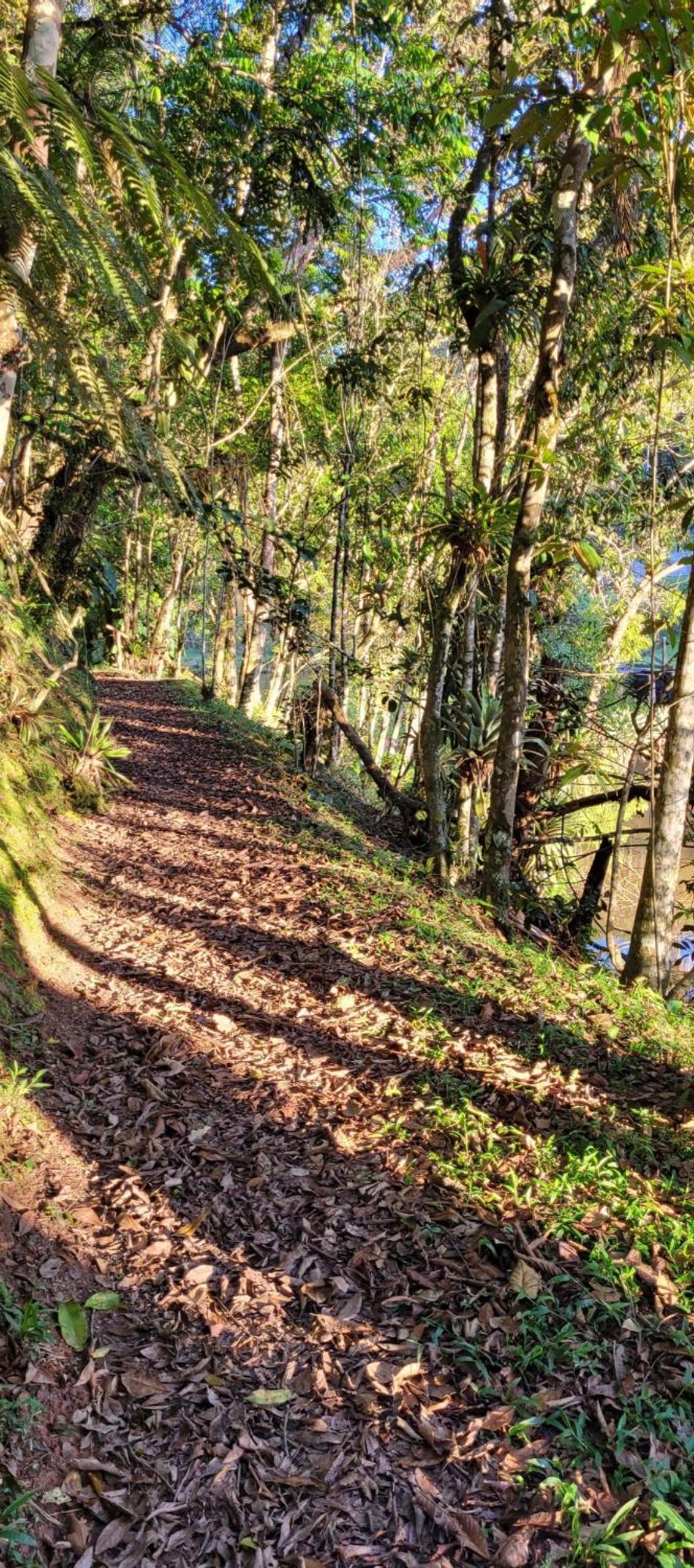 sitio recanto da promessa