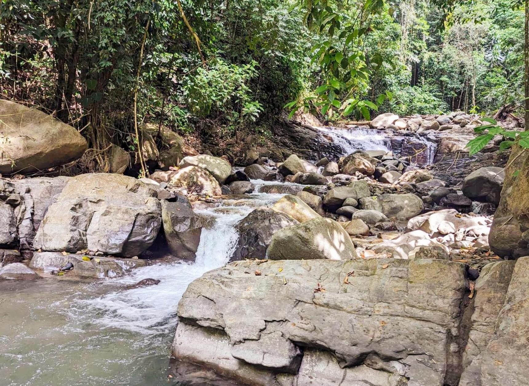 Yogachal Vista Mar Bamboo House in the Jungle