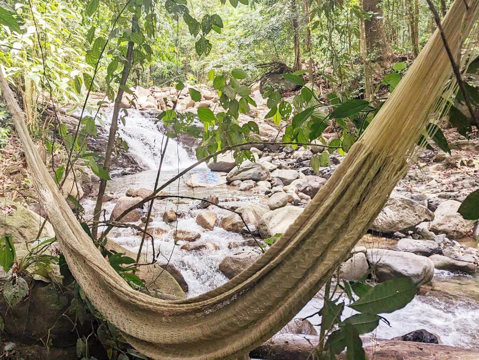 Yogachal Vista Mar Bamboo House in the Jungle