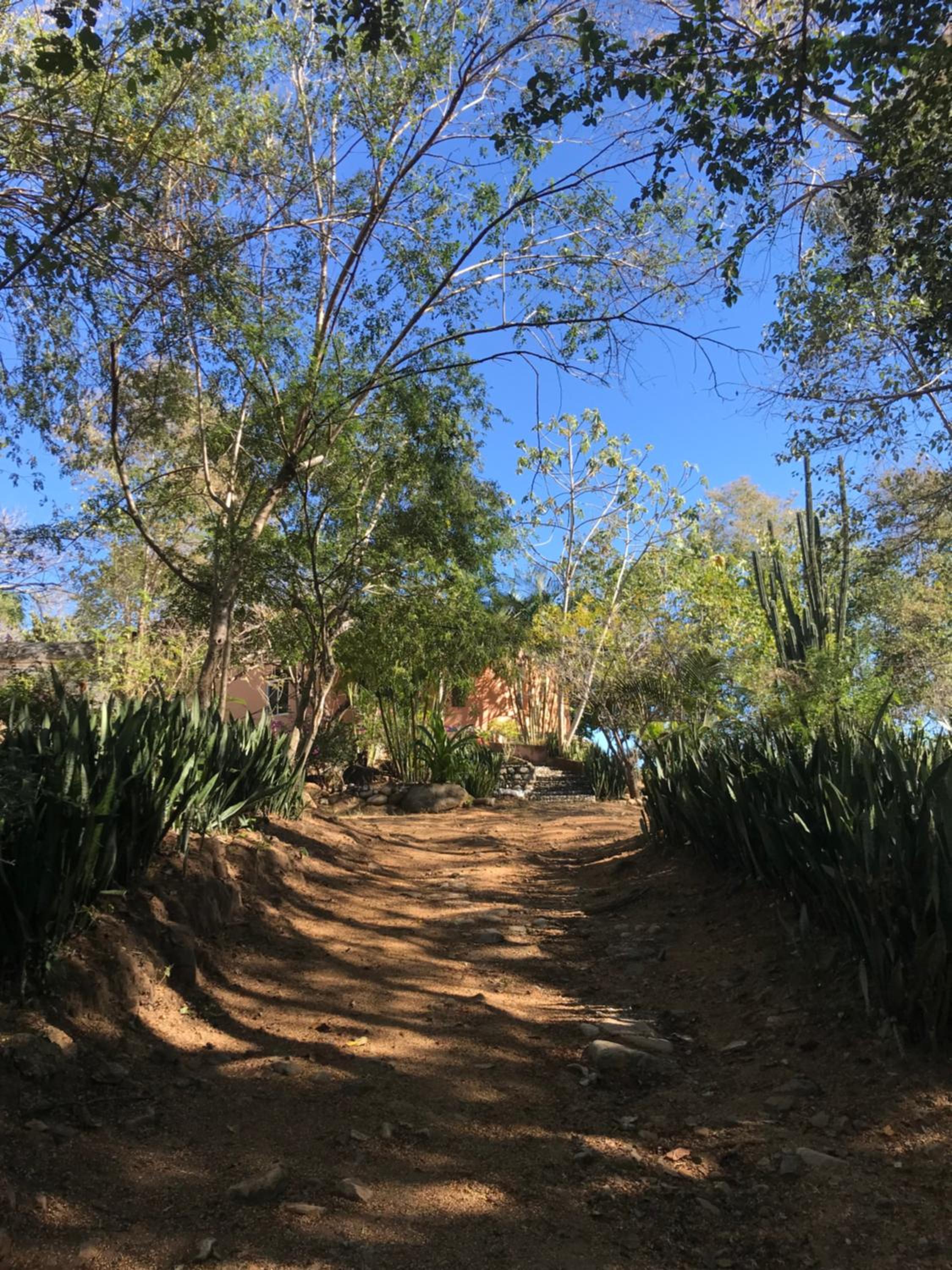 Nixandu mountain retreat lodge