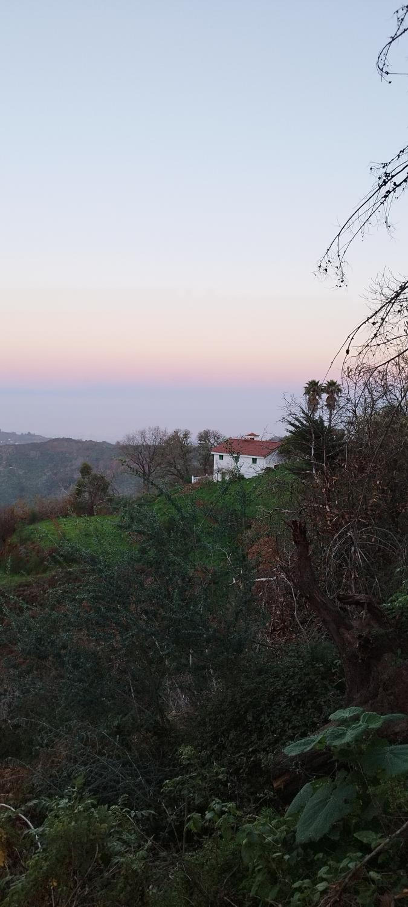Finca pajaritos