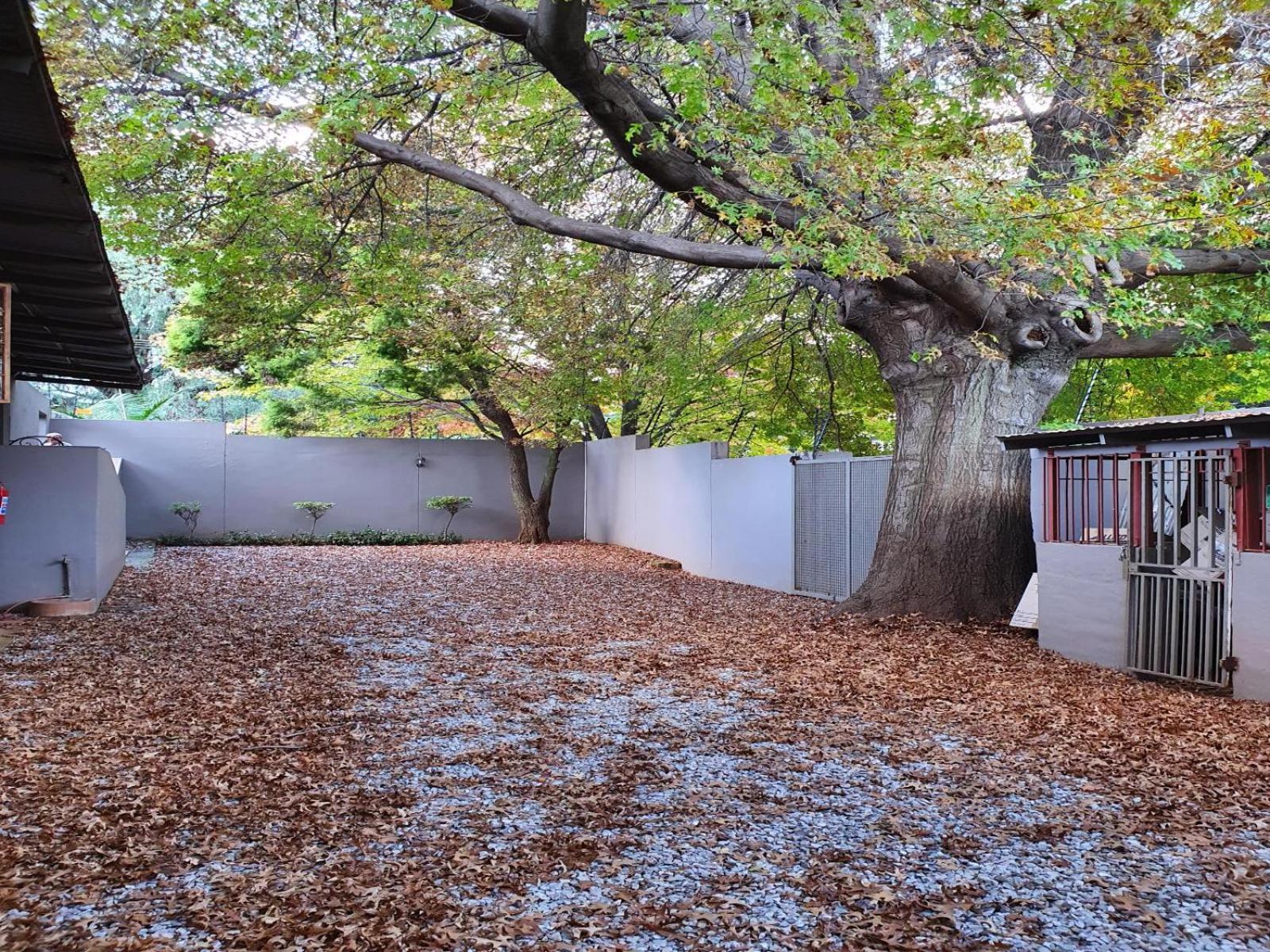 7th Street Guesthouse