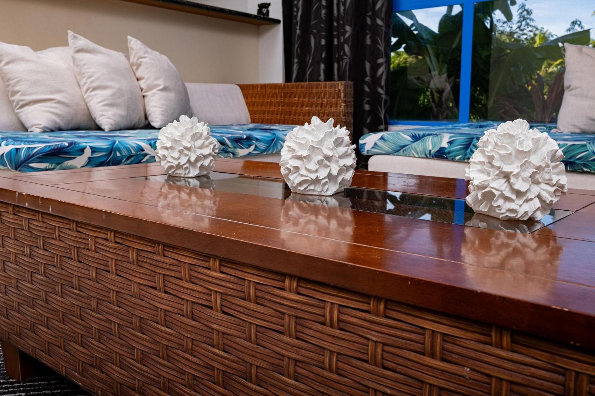 Croton House, Nadi - view 11