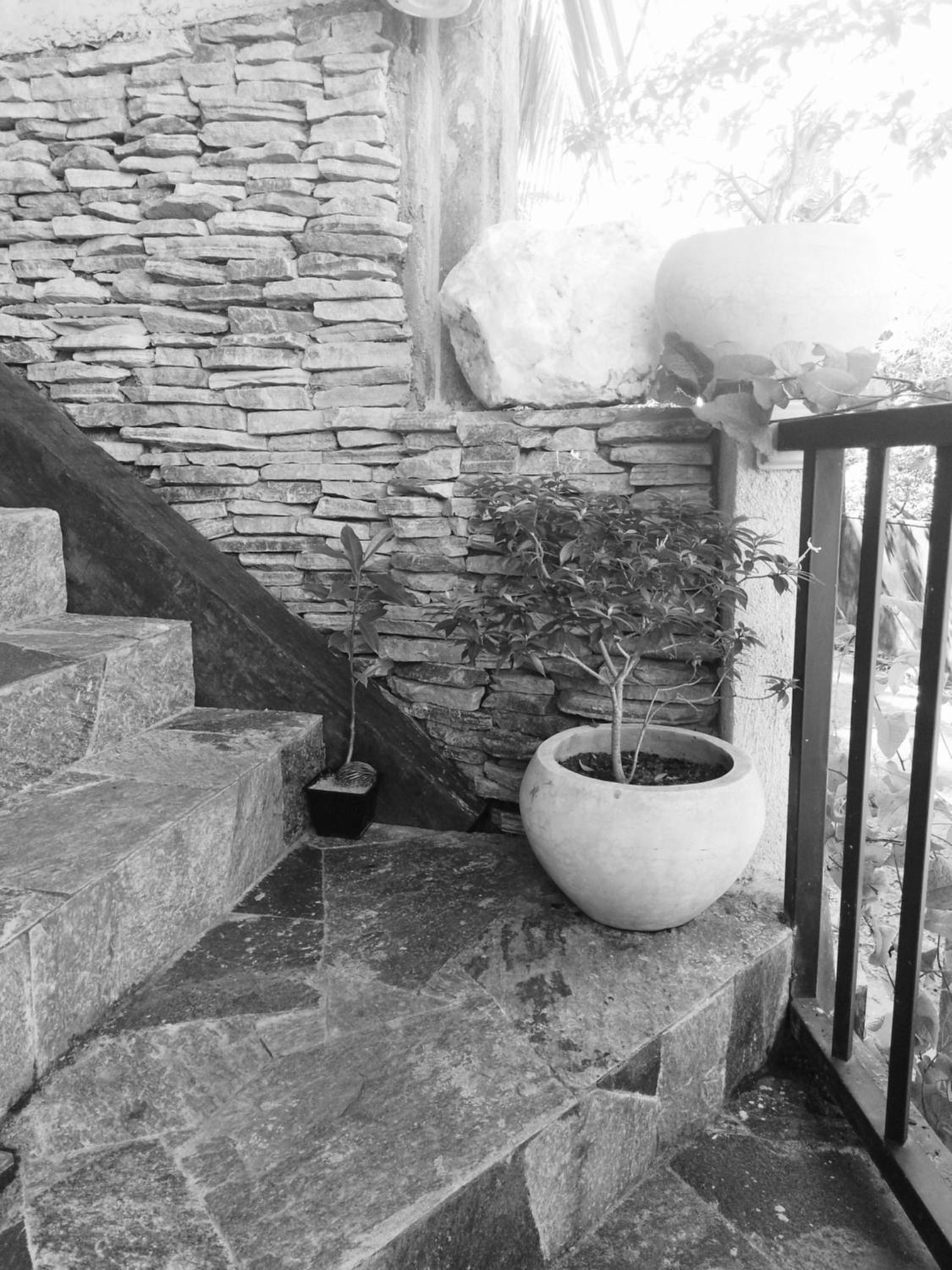 Photo 53